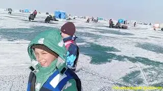 Февраль 2026г Капчагай Лазурный берег попали на раздачу воблы