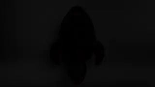 announcement.mp4