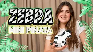 How to do a Zebra Mini Pinata