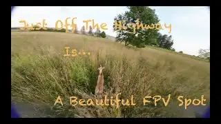 🦌 Just Off The Highway... Is a Beautiful FPV Spot 🦌