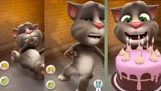 😺 Ginger’s Unexpected Cute Reaction 💥
