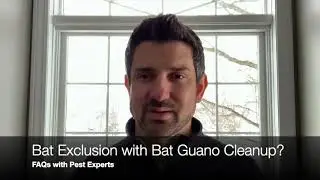 Bat Exclusion with Bat Guano Cleanup | Syracuse Pest Experts