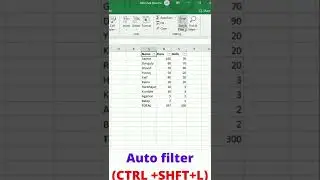 Auto filter in Excel