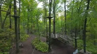 TreEscape Aerial Adventure Park