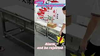 Accurate & Economical Check Weigher Large load weight checkweigher for boxes