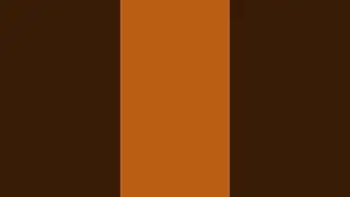 Alloy Orange Screen Background Video | Multipurpose Backdrop for Editing & Reels | No Audio