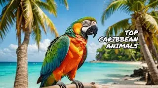 Top Ten Animals of the Caribbean