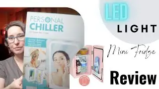 Personal Chiller Mini Storage: Review