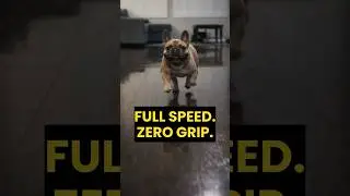 Slippery Floors vs French Bulldog...Oops