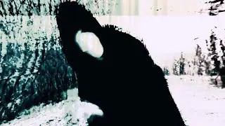 Drown In Sulphur - Sulphur Cvlt (Official Music Video)