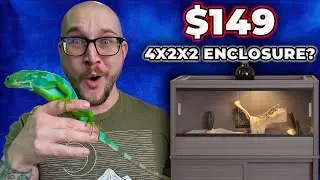 I'll Save YOU $400 in 4 Minutes! INSANE Deals for YOUR Reptiles!