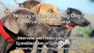 Helen Lacy Gibbs - Blue Lacys and Red Lacys