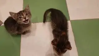 VID 20201001 WA0002