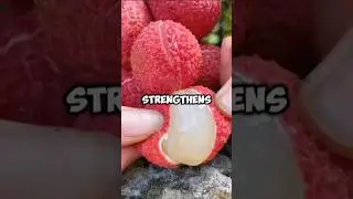 Summer Fruits #facts #fruit #health #food #motivation #shorts