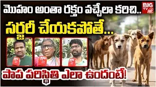 Parents Emotional on Hyderabad Stray Dog on LKG Girl Incident | పాప పరిస్థితి ఎలా ఉందంటే! | BIG TV