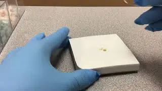 Mixing and Placing Dycal