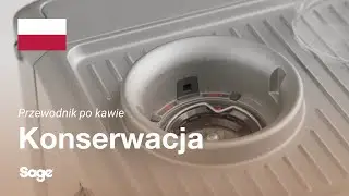 The Barista Express&trade; | Og&oacute;lny poradnik czyszczenia: żarna stożkowe | Sage Appliances PL