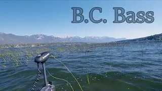What's in my Bag after 2.5 Hours? BC Bass Fishing.