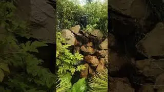 Relaxing     #Akamba #Africa #waterfall #summer #UK #relaxing #zen