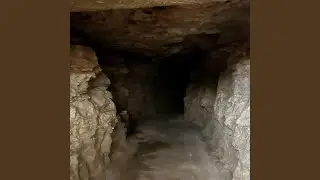 Halo