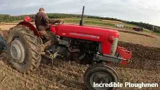 1959 Massey Ferguson 65 MK1 3.3 Litre 4-Cyl Diesel Tractor (58 HP) with Ransomes Plough