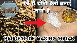 गन्ने से चीनी कैसे बनाई जाती है ||Process of making sugar #viralvideo #trending #vlog 