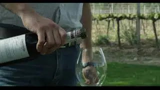 VINO PASION 2 MONASTRELL