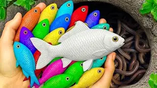 Catch Beautiful Aquarium Fish in Giant Colorful Eggs, Pencil Fish, Blue Guppy, Eel, Koi, Baby Turtle