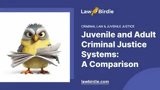 Juvenile and Adult Criminal Justice Systems: A Comparison - Essay Example
