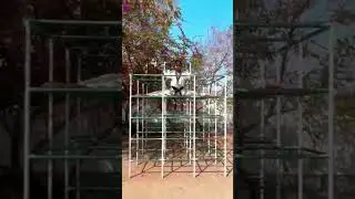 practice of flexibility and different types of kicks