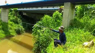Over pertumbuhan! ikan sebanyak ini di biarkan gitu saja || Mancing ikan