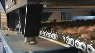 Pecan Sorter Utilizing NI LabVIEW