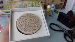MINISO bluetooth speaker BT-120 ( Gold ) Unboxing
