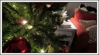 OUR CHRISTMAS SEASON KICKOFF