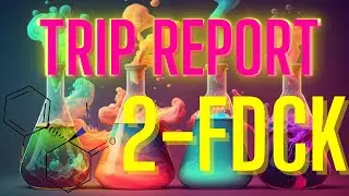 Ma 1&egrave;re Exp&eacute;rience &agrave; la 2-FDCK
