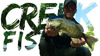Creek Fishing: POOL JUMPING for QUALITY BASS (Kayak Fishing a SECRET CREEK Part 1)