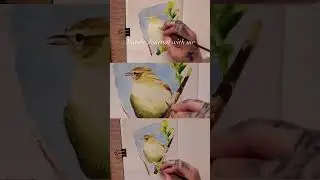 Nature Journal with me! #naturejournal #naturejournaling #sketchbook #watercoloursketch #birds