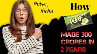 Pulse Candy: The Amazing Story of How a Startup Made 300 Crores in 2 Years | Business Case Study