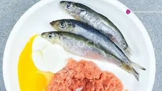 Wholesome Eats for Happy Cats: Make Delicious Homemade Cat Food!