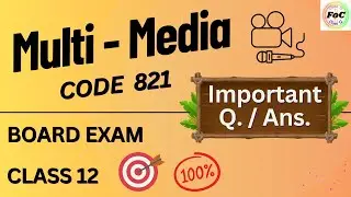 Class 12 Multimedia Code 821 CBSE Board Exam Important Question Answers | 2025 Sample Paper | Maya