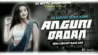 Angoori badan dj remix hindi song