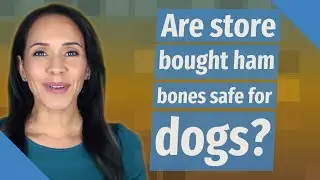 Are store bought ham bones safe for dogs?