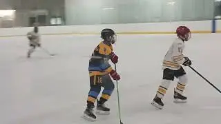 hockey 3