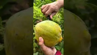 similar to papaya😱 #fyp #reelsfb #cuttingart #tropicalfruit #craft #satisfying #tropicalfood