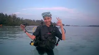 Hmne dekhi  Dolphin 🐬 🐬|| Best moments #oceanwaves
