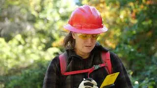Facilities Inspection