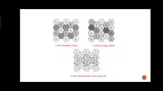 DF | Cellular System | Fathima Riya v