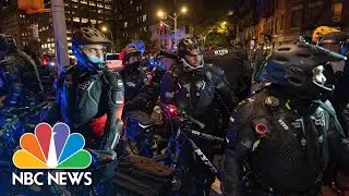 Protesters Calling For Full Election Poll Count Arrested In New York | NBC News NOW
