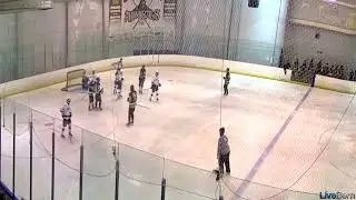 Trevor Massey Mitchell Mustangs Goal vs Jesuit Sept 2023, Ellenton Ice