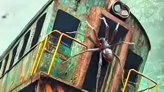 Nature&rsquo;s Hidden Art: Exploring the Amazon Jungle | Breathtaking & Travel Discovery!
